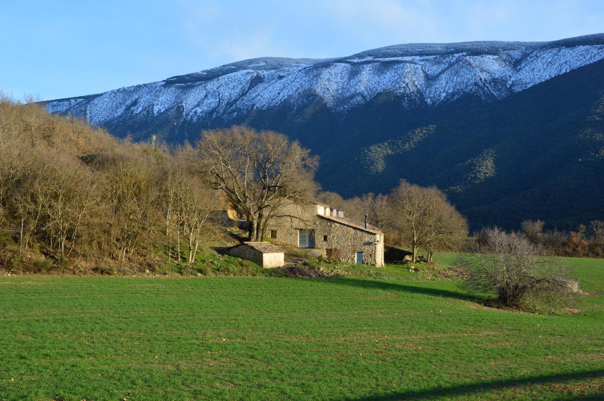 Mas de Bruquet Llimiana Exterior foto